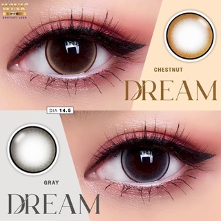 ค่าสายตา -5.50 ถึง -10.00 Wink Lens Dream(Gray,Brown)