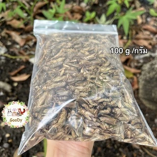 สะดิ้งอบแห้ง 100 กรัม/g. Dried House Crickets