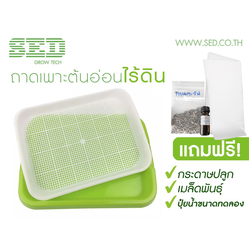 ถาดพลาสติกสำหรับเพาะต้นอ่อน ผักไมโครกรีน Microgreen Tray ถั่วเขียว ทานตะวัน โต้วเหมี่ยว ต้นกล้า เมล็