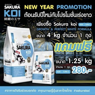 [ซื้อ1แถม1] อาหารปลาคาร์ฟ Sakura Koi (ซากุระ โค่ย) สูตรเร่งขาว ขนาด 4 กก. แถมฟรี 1.25 กก.