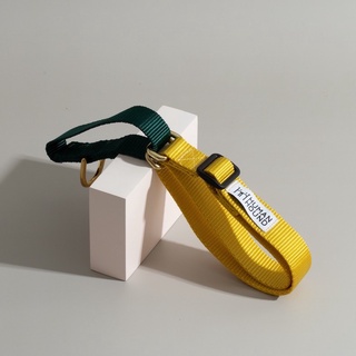 ปลอกคอสุนัข Human and  Hound - Martingale Green/Gold Yellow ปลอกคอฝึกสุนัข