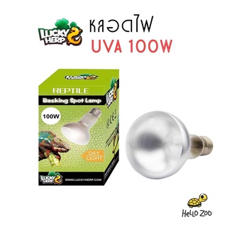 Lucky Herp หลอดไฟ UVA 100W สำหรับกกไฟกลางวัน (กล่องเขียว) [LH02]