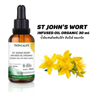 น้ำมันเซนต์จอห์นเวิร์ท อินฟิวส์ ออแกนิค ST JOHN’S WORT INFUSED OIL - ORGANIC