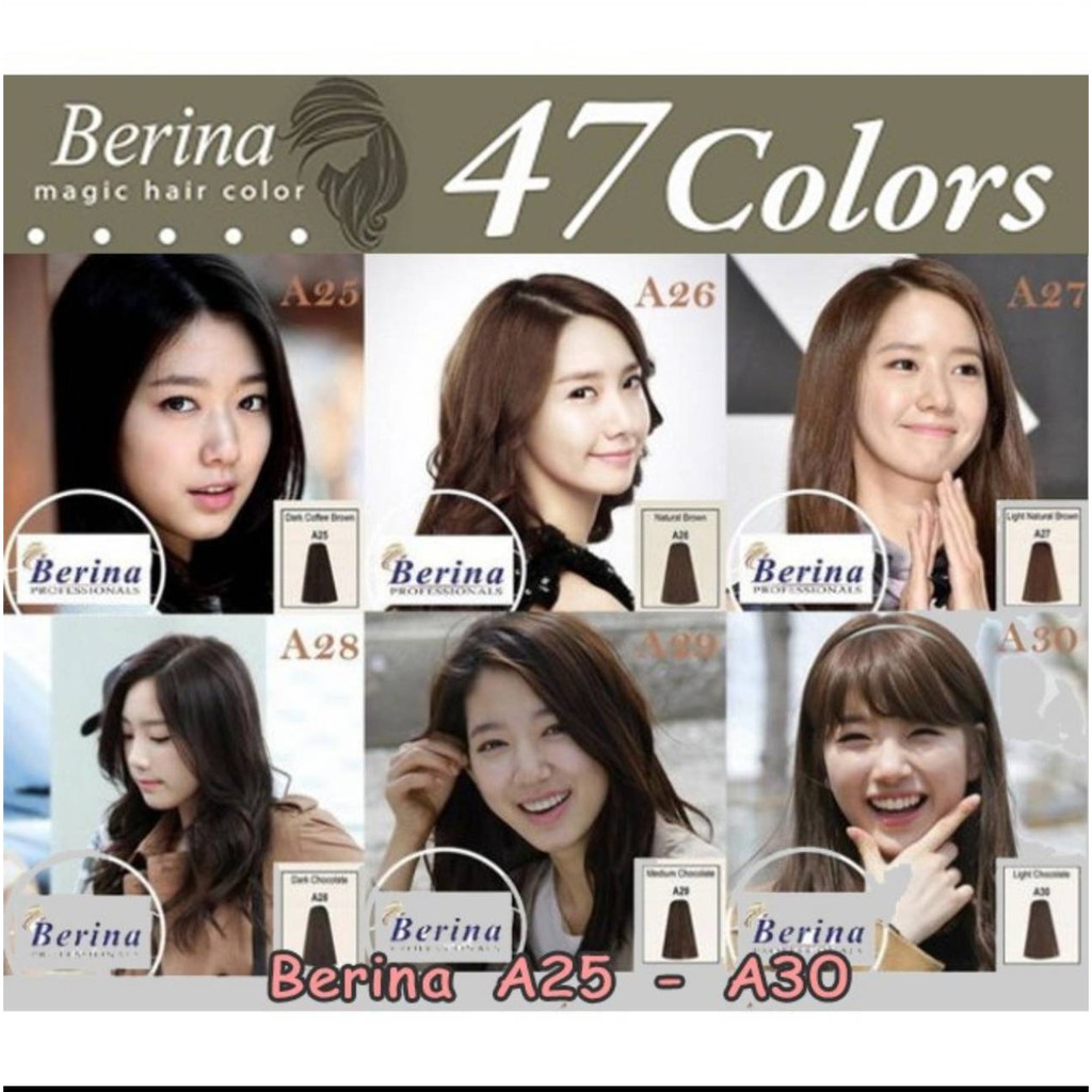 Berina เบอริน่า เซทสีผมโทนน้ำตาลช็อกโกแลต ยาย้อมผม ครีมย้อมผม