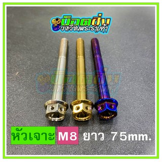 น็อตสแตนเลส หัวเจาะดอกไม้ ขนาดเกลียว m8 ยาว 75 mm.