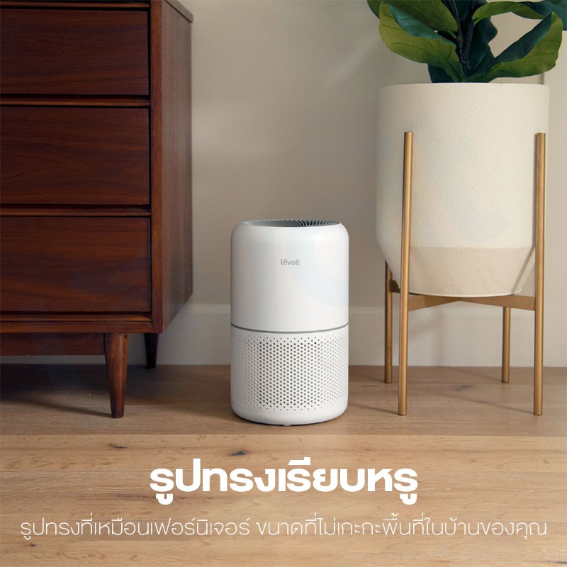 รูปภาพ 8