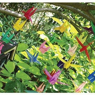 กระดาษพับนก 50สี กระดาษพับ กระดาษพับโอริกามิ กระดาษโอริกามิ Origami Paper โอริกามิ