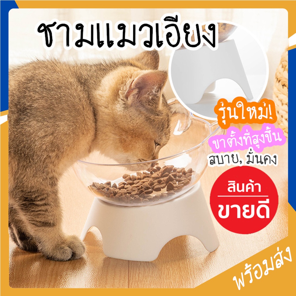 MITI4 พร้อมส่ง ชามอาหารสัตว์เลี้ยง ชามอาหารแมว ชามอาหารหมา แบบเดี่ยว ป้องกันกระดูกสันหลัง ชามเอียง COD MIP72