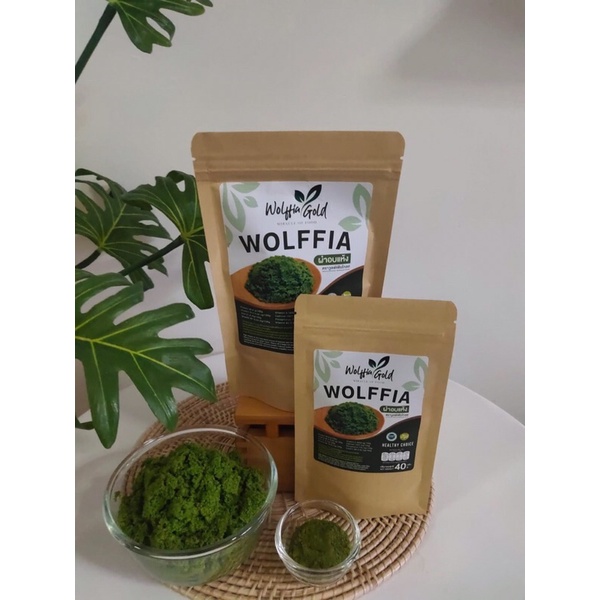 ผงผำอบแห้ง ตรา Wolffia Gold