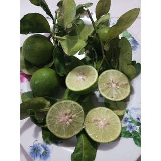 มะนาวแป้นปลูกเองขายเองแบบปลอดสารพิษ100℅ 1กก.ราคา35บาท🍋🍋🍋