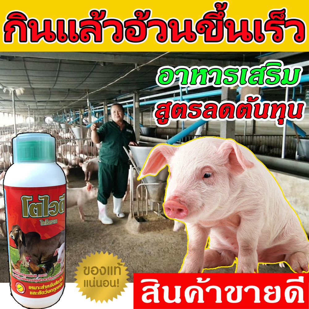 พร้อมส่ง อาหารเสริมหมู โตไวดี 1 ลิตร ส่งจริง เร่งเนื้อ เพิ่มน้ำหนัก วิตมินหมู ยาหมู ตัวช่วยบำรุงคู่ฟาร์มหมู ขายจริง