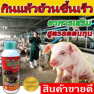 🎆พร้อมส่ง 🎆 อาหารเสริมหมู โตไวดี 1 ลิตร ส่งจริง เร่งเนื้อ เพิ่มน้ำหนัก วิตมินหมู ยาหมู ตัวช่วยบำรุงคู่ฟาร์มหมู ขายจริง