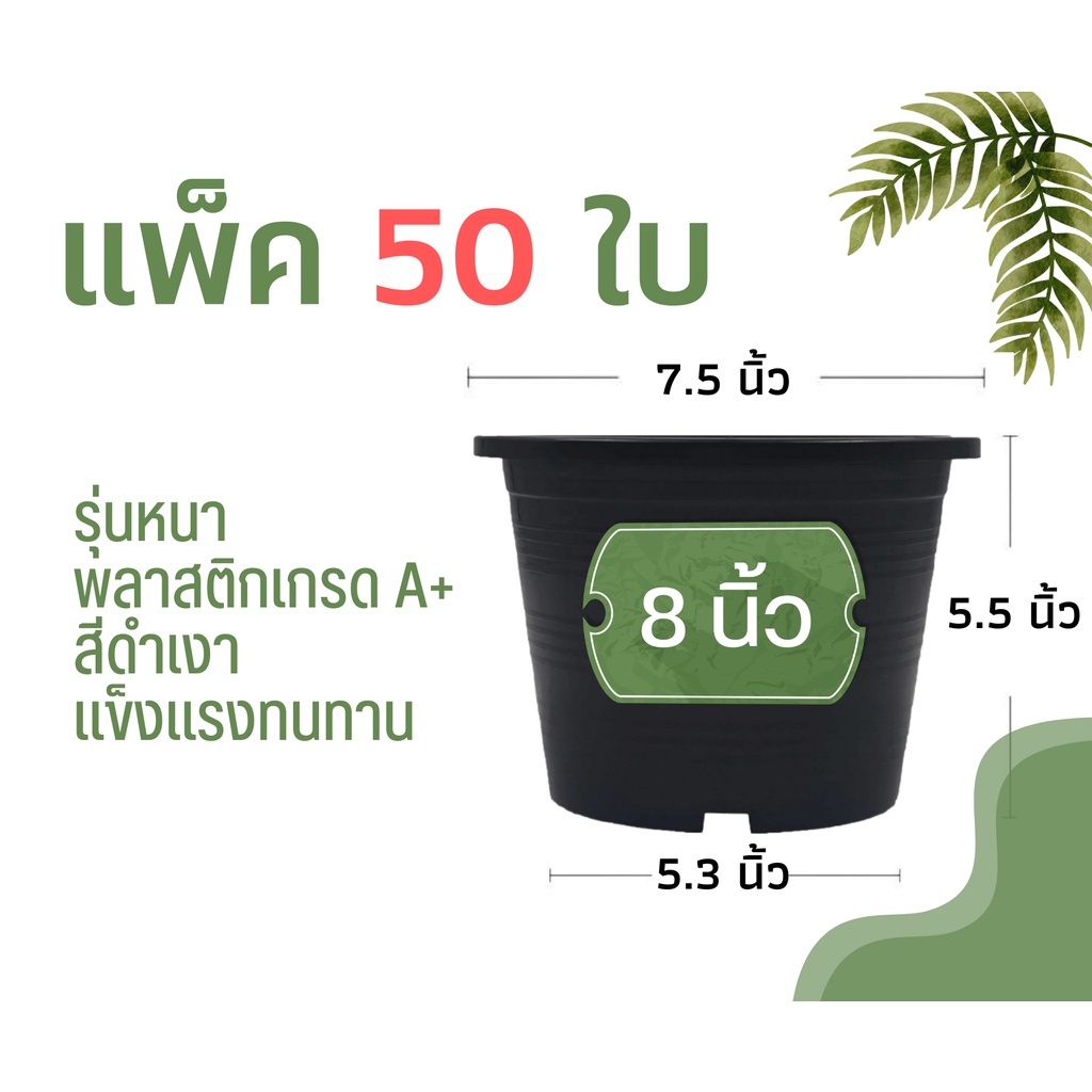 กระถางต้นไม้ 8 นิ้ว 50 ใบ กระถางพลาสติก กระถาง สีดำเงา (รุ่นหนา)