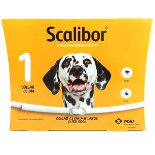 Scalibor collar for dog 65cm ปลอกคอ กำจัด เห็บ หมัด สุนัข ยาว 65 ซม. จำนวน 1 เส้น scalibor exp: 2023