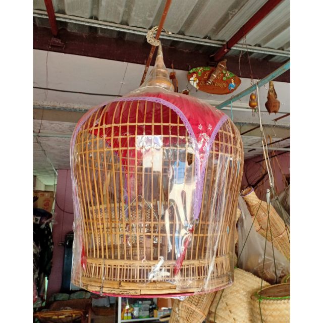 My Image 26