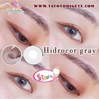 Hidrocor gray by TATOTO Contact Lenses บิ๊กอาย #22