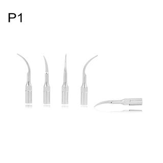 【พร้อมส่ง】ปลายสเกล 5 ชิ้น สําหรับ EMS Woodpecker P1 P3