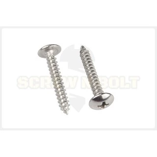 น็อต สกรู หัวร่ม หัวกระทะ แฉก T+ สแตนเลส 304 เกลียวปล่อย M6 / Truss an Head Phillip Tapping Screw