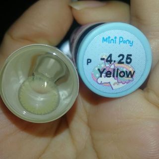 สายตา - 425  มินิโพนี่ mini pony