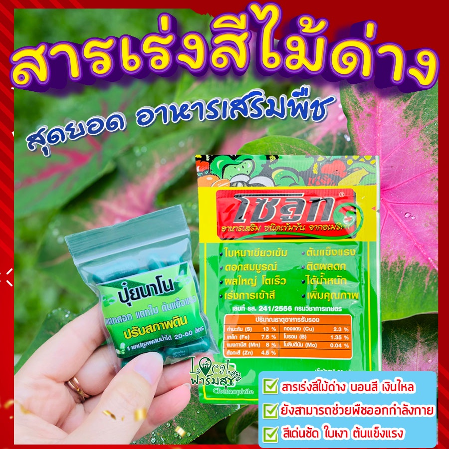 สารเร่งสีไม้ด่าง ปุ๋ยเร่งสีบอน บอนสี เงินไหล สีสวย สีเข้ม ใบเงา ต้นแข็งแรง ทนต่อสภาพอากาศ แก้ปัญหาต้นโทรม ใช้ได้ทุกพืช
