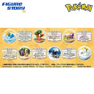 *Pre-Order*(มัดจำ) [Pokemon] Terrarium Collection EX -Galar Region Part.2- 6Pack BOX (โมเดล)(ของแท้)(ล๊อต JP)