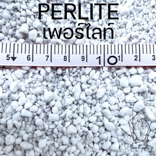 วัสดุปลูก เพอร์ไลท์ Perlite 1 ลิตร(10บาท) 3 ลิตร(29บาท) 5 ลิตร(49บาท) ขนาด3-6มิล ราคาถูกที่สุด ✅พร้อมจัดส่ง