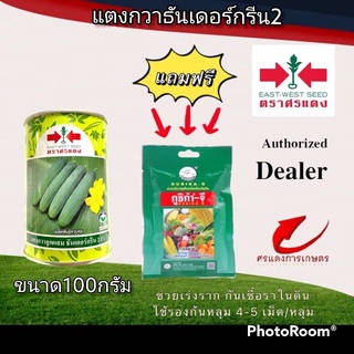 เมล็ดพันธุ์ แตงกวาธันเดอร์กรีน2 ขนาดบรรจุ 100 กรัม แถมกูซิก้าจีซองเล็ก