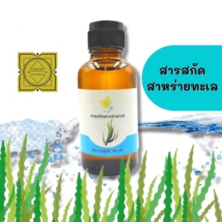 สารสกัดสาหร่ายทะเล (Seaweed Extract) สารสกัด สาหร่าย ชุ่มชื้น บำรุงผิว ขนาด 30 กรัม 100 กรัม