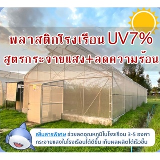 **แบ่งขายเป็นเมตร** พลาสติกโรงเรือนผสมUV7% หน้ากว้าง3ม. หนา100ไมครอน และ 150ไมครอน