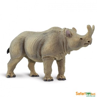 Safari Ltd. : SFR100084 โมเดลสัตว์ Megacerops