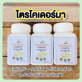 ไตรโคเดอร์มา ป้องกันรา รักษาโรครากเน่า ใบจุด ใบไหม้ ไตรโคเดอร์มาพร้อมใช้(ผสมน้ำใช้งานได้เลย)