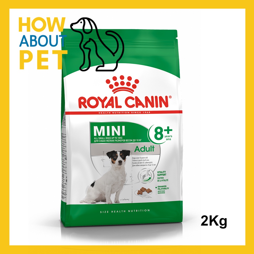 อาหารสุนัขเล็ก Royal Canin Adult Mini 8+ อาหารสุนัขแก่ พันธุ์เล็ก 2กก. (1ถุง) Royal Canin Mini Adult