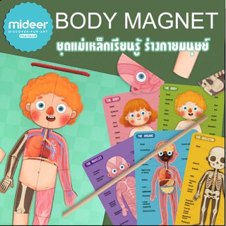 Mideer 6+ จิ๊กซอว์แม่เหล็กร่างกายของเรา Mideer Body Magnet MD2031