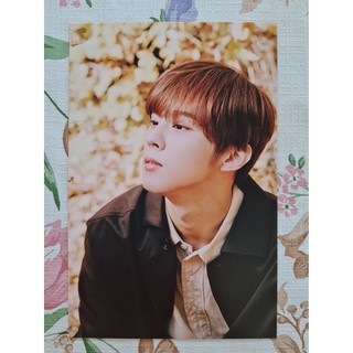 [พร้อมส่ง] โปสการ์ด Kim Woo Seok 2021 Seasons Greetings UP10TION Wooshin คิมอูซอก อูชิน