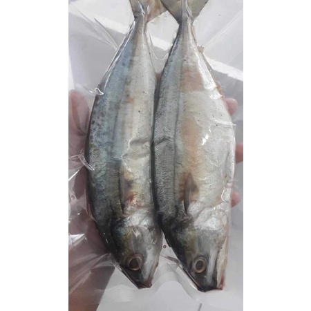 ปลาทูมัน(สูตรเค็มน้อย)