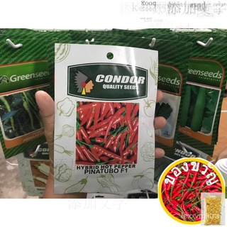 Sili Labuyo (Hot Pepper) Repacked Seeds男装/玫瑰/园艺/手链/香菜/生菜/花园/种子/内裤/鲜花/ KQWQ