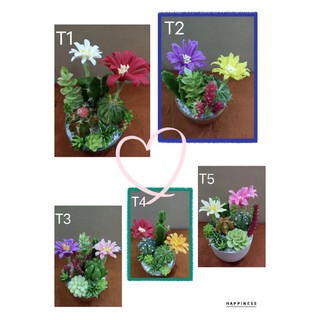 ต้นตะบองเพชร ดินปั้น สูง 4.5 นิ้ว ราคา 190 บาท