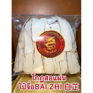 โกฐสอแผ่น ไป๋จื่อBAI ZHI 白芷 แปะจี้แผ่นหรือโกฏสอ โกฏสอแผ่น แปะจี้