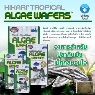 อาหารปลานำเข้าจากญี่ปุ่นHikari Algae Wafers (ชนิดจม)