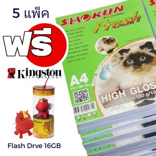 กระดาษโฟโต้อิงค์เจ็ท A4 180/100 SHOKUN 5แพ็ค+16GB KINGSTON