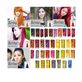 Berina Hair Color ครีมเปลี่ยนสีผม เบอรีน่า ครีมย้อมสีผม เปล่งประกาย ติดทนนาน ปิดผมขาว