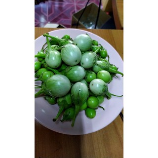 มะเขือเปราะ ผักสดจากสวน    (Thai eggplant)  1 กก 35 บาท