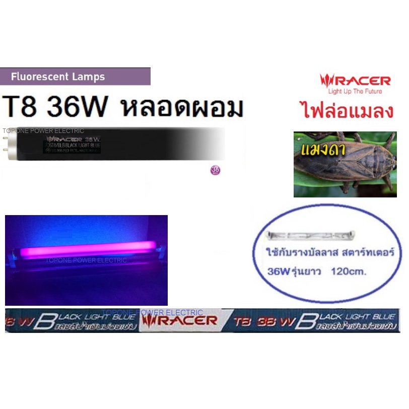 หลอดไฟล่อแมลง T8 รุ่นมาตฐาน 36-40W Black light