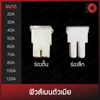 (1 ตัว) ฟิวส์เมนตัวเมีย ร่องตื้น/ร่องลึก ฟิวเมนตัวเมีย ขนาด 20A, 30A, 40A, 50A, 60A, 70A, 80A, 100A, 120A รหัส AF-F/AF-K