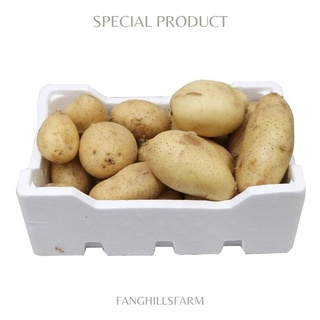 🚚 ค่าส่งถูก!! มันฝรั่งสดบรรจุกล่อง 800​ กรัม มันฝรั่งพันธุ์ส…