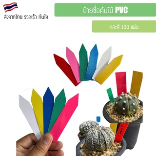 ป้ายชื่อต้นไม้ PVC ลาเบล เนมเพลท PLANT LABEL ตกแต่ง สีละ 100 แผ่น ป้ายชื่อแปะต้นไม้