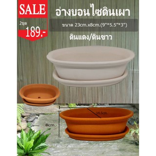 กระถางบอนไซดินเผา  (ขาวธรรมชาติ ) กว้าง 9"*5.5”*3" ราคา 2 ชุด 189.-