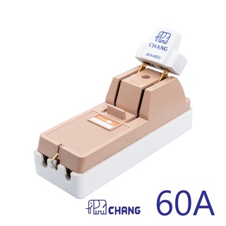 คัทเอาท์ช้าง CHANG 2P 60A 600V