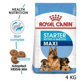 Royal Canin Maxi Starter Mother &amp; Babydog [4kg] อาหารสุนัข รอยัลคานิน สำหรับ แม่สุนัขพันธุ์ใหญ่ช่วงตั้งท้อง