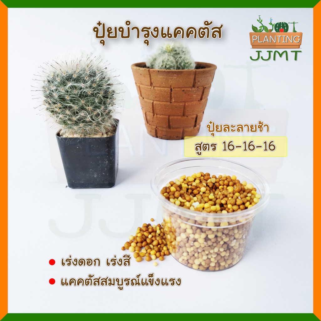 ปุ๋ยบำรุงแคคตัส เร่งดอก ออสโมโค้ท สูตร 16-16-16 ปุ๋ยบำรุงไม้ดอกไม้ประดับ ปุ๋ยละลายช้า แบ่งขาย